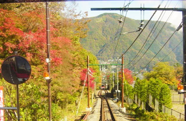 一日乗り放題　箱根旧街道一号線切符