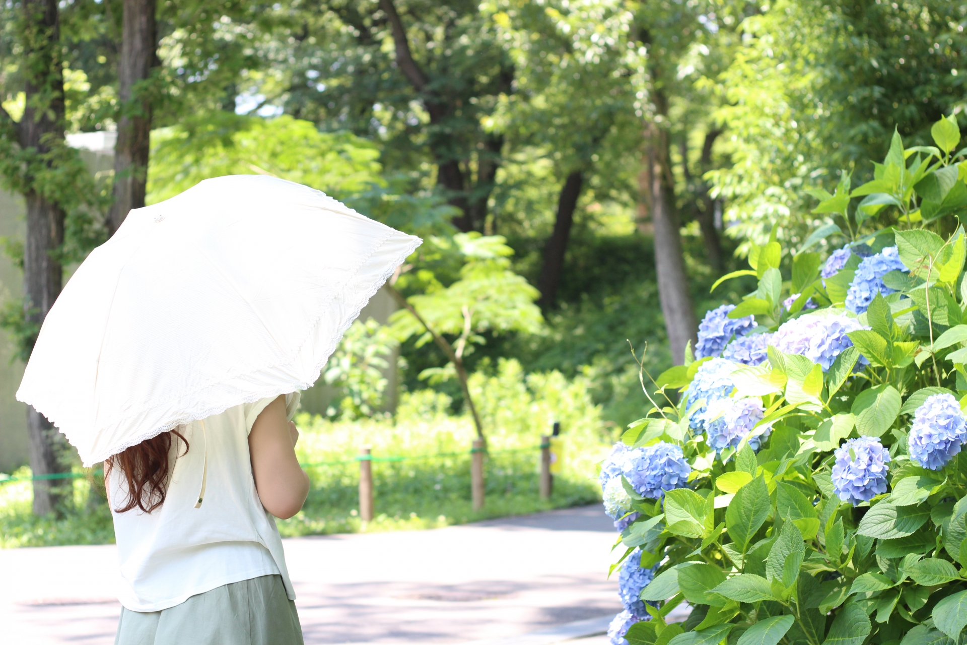 大阪の気候とおすすめの服装