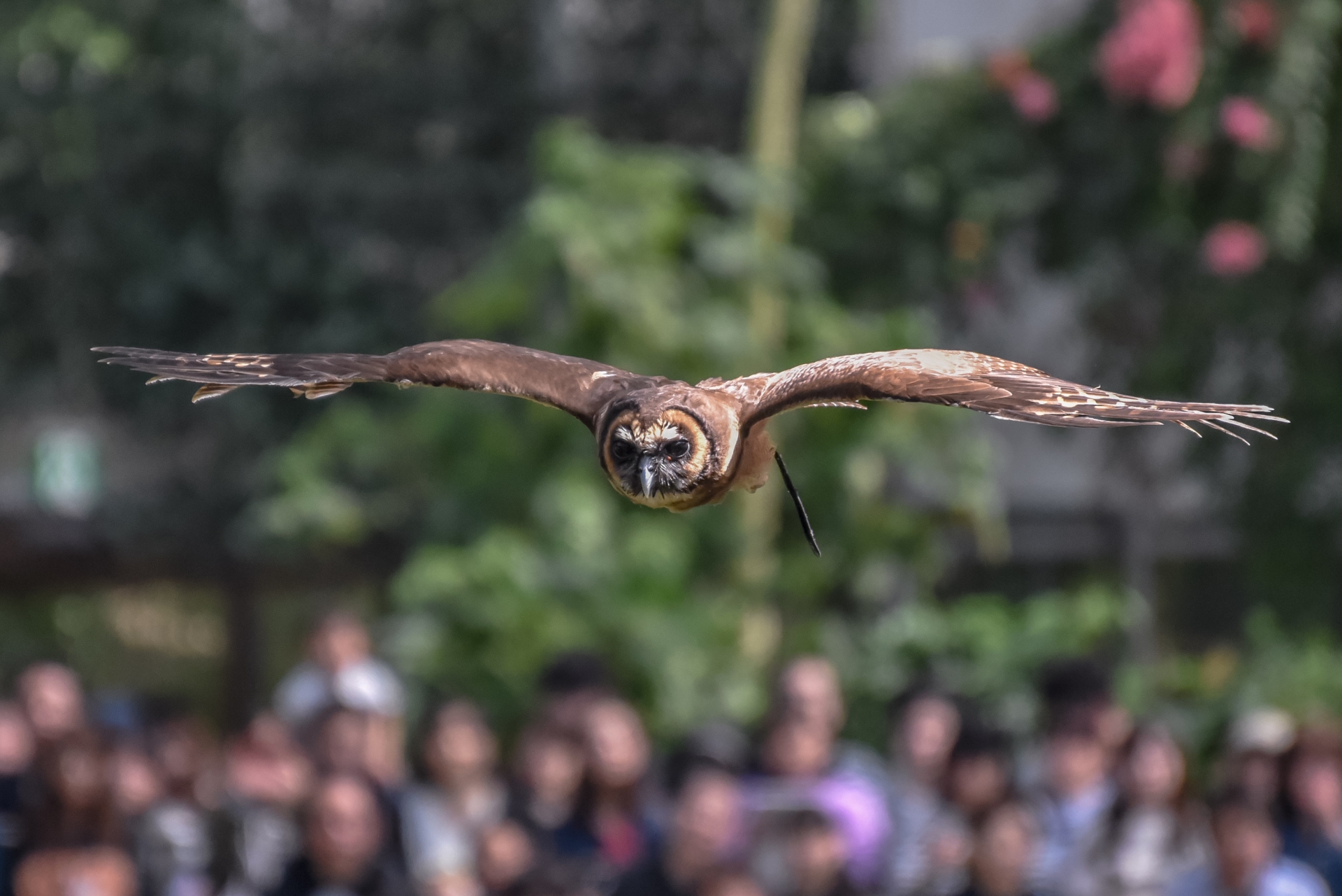 神戸市立王子動物園