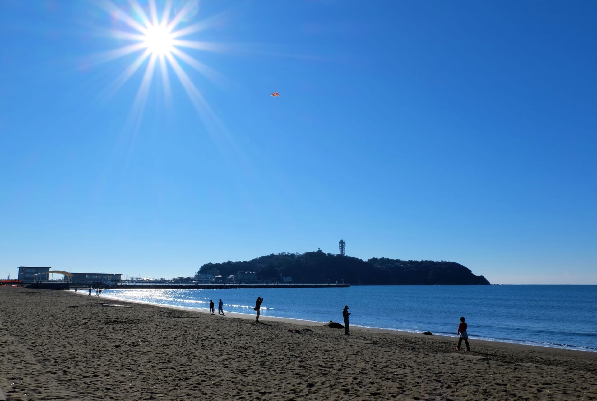 新江ノ島水族館