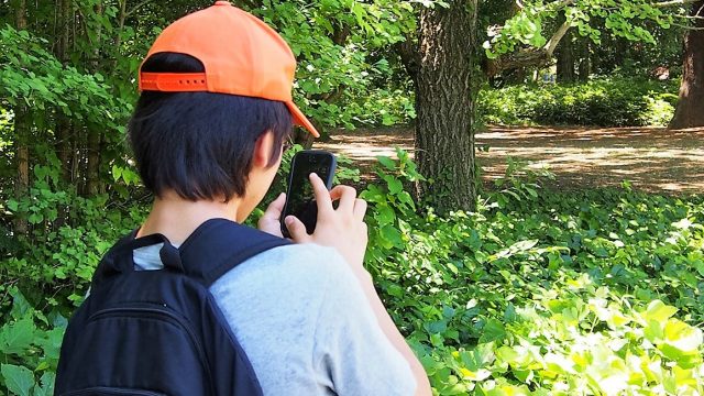 ポケモンGOのミュウの入手方法！個体値やレイドバトルとは？