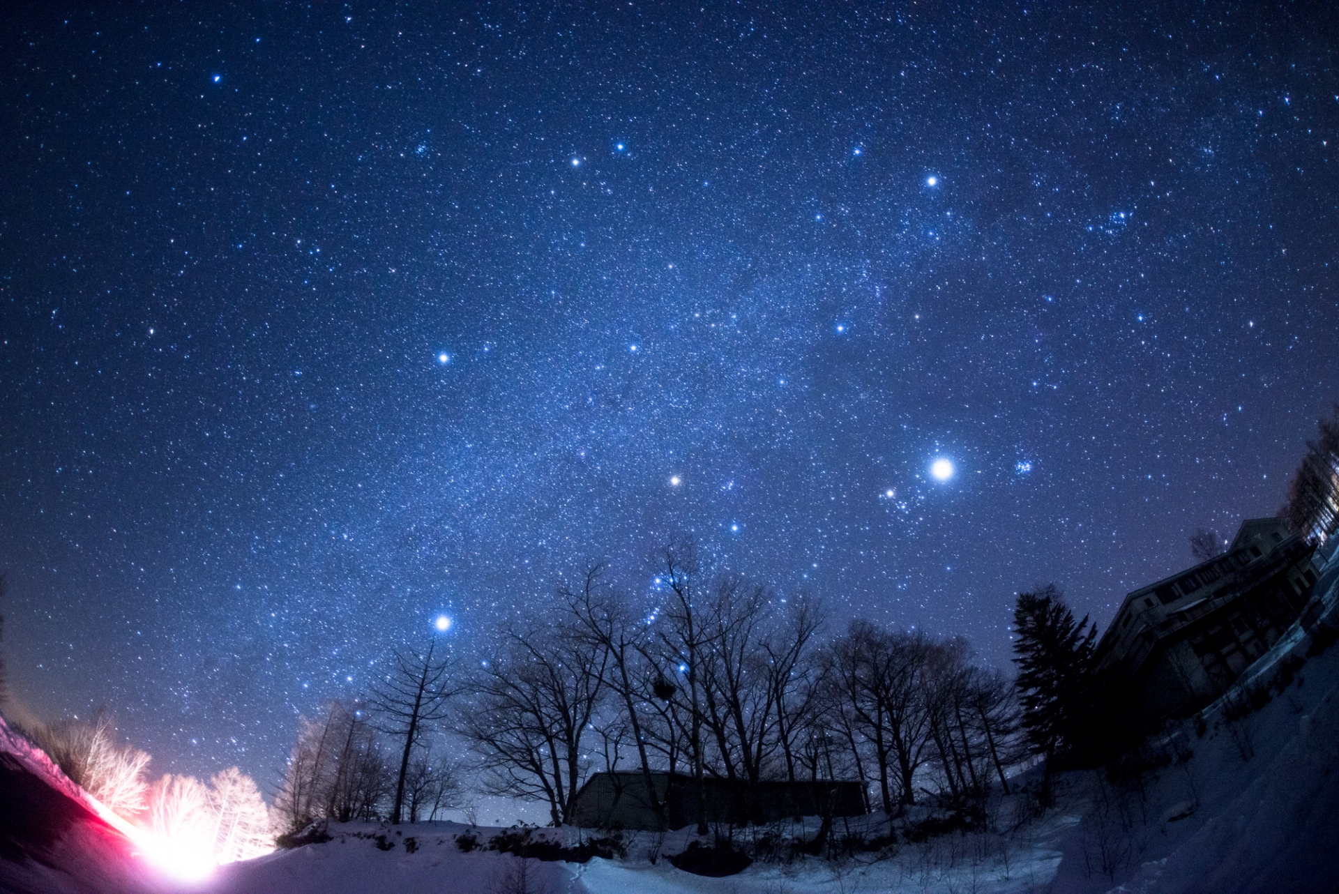 星座ごとの性格をふまえて行動を工夫してみよう！