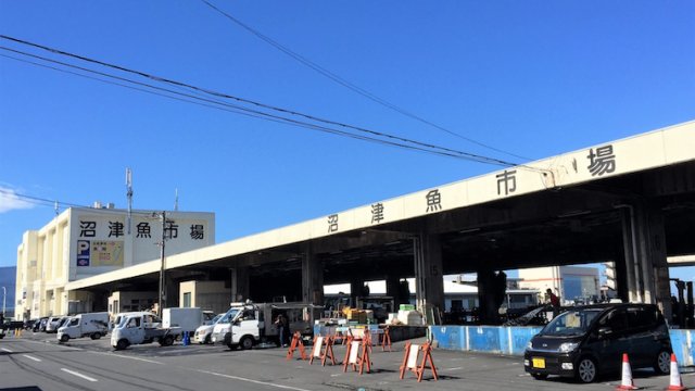 沼津のおすすめスポット！深海水族館やおいしいお寿司屋さんについて！