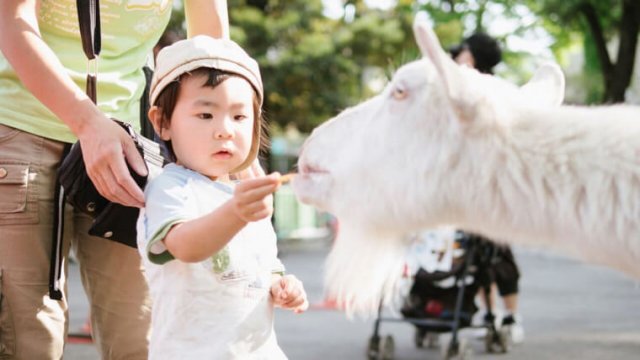 関西の人気動物園ランキング！