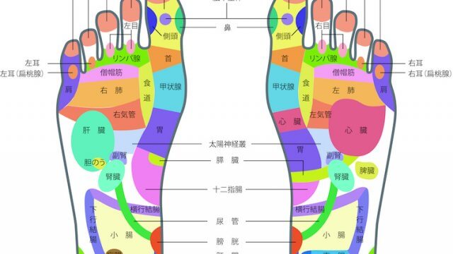 足の裏の図・ツボ押しの場所と効果について