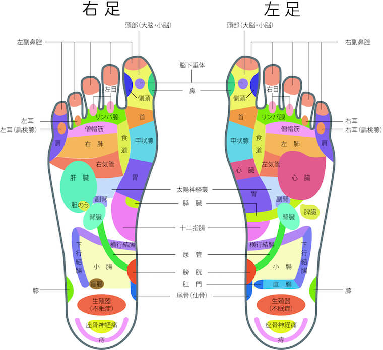 足の裏の図・ツボ押しの場所と効果について